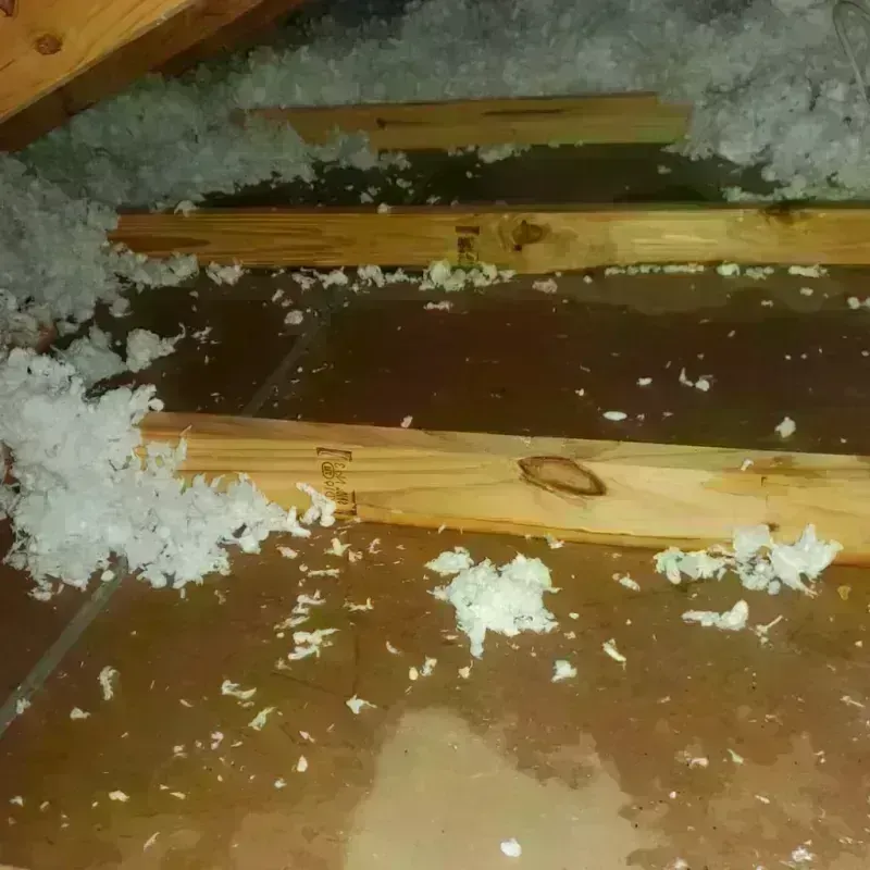 Attic Water Damage in Watertown, TN