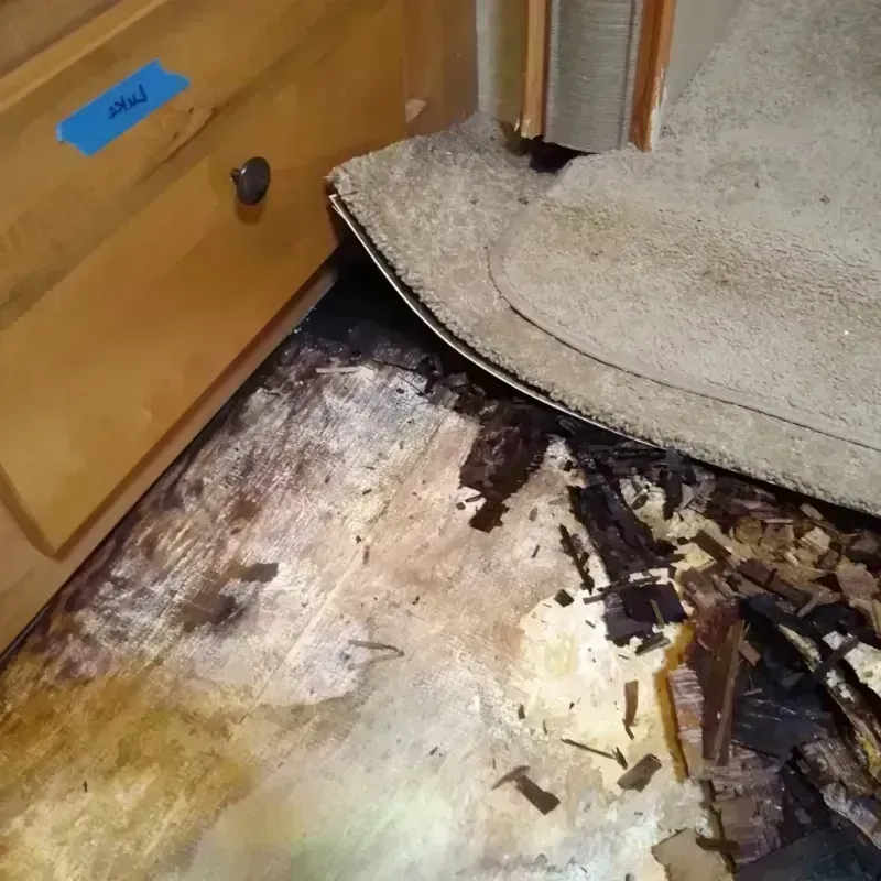 Wood Floor Water Damage in Watertown, TN